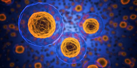 Scientific Links